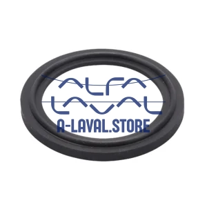 40MPF-SFY-6 FLANGED TC GASKET 6" VITON