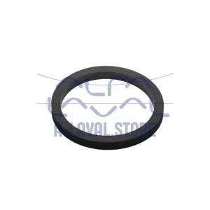 SEAL RING 25 EPDM SMS B=5.5