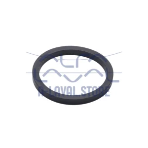 SEAL RING 38 FPM SMS B=5.5